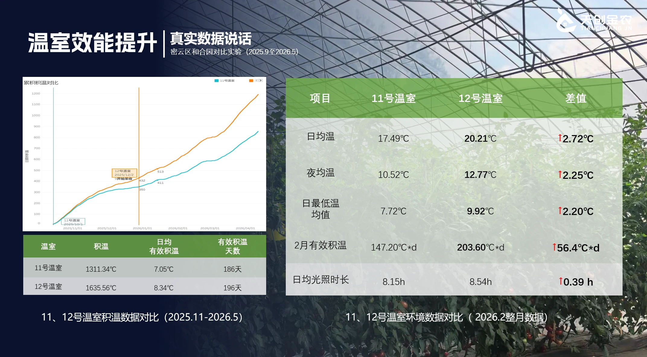 Greenhouse performance data – daily average, night average and accumulated temperature comparison